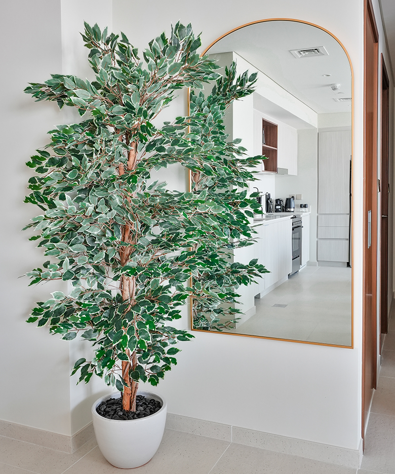 /assets/images/projects/vida-residence/img-3.jpg